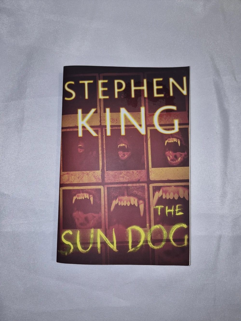 The Sun Dog - Paperback
